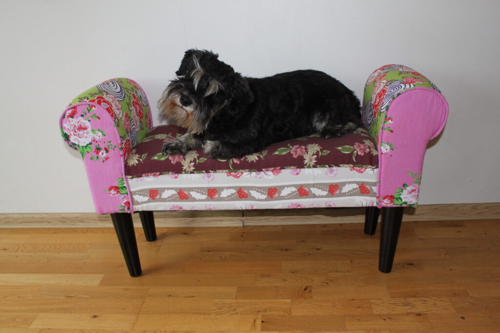 koeradiivan scaled.jpg